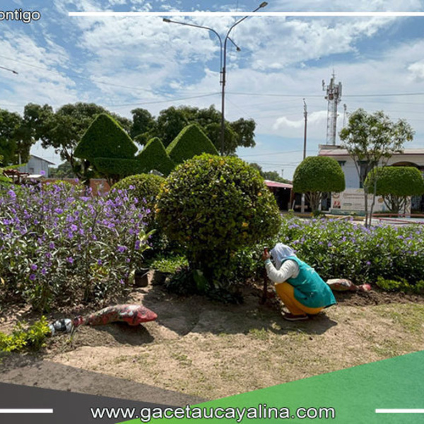 Embellecimiento y mantenimiento de áreas verdes en Yarinacocha
