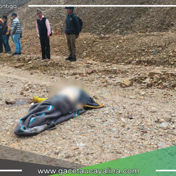 Asesinato Atroz: Empresario Minero Sánchez Vera Encuentra un Trágico Final