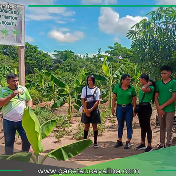 Estudiantes de Sepahua fortalecen conocimientos en agropecuaria en Pucallpa