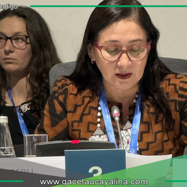 Alcaldesa Castagne expuso sobre impactos del cambio climático representando a ciudades Amazónicas