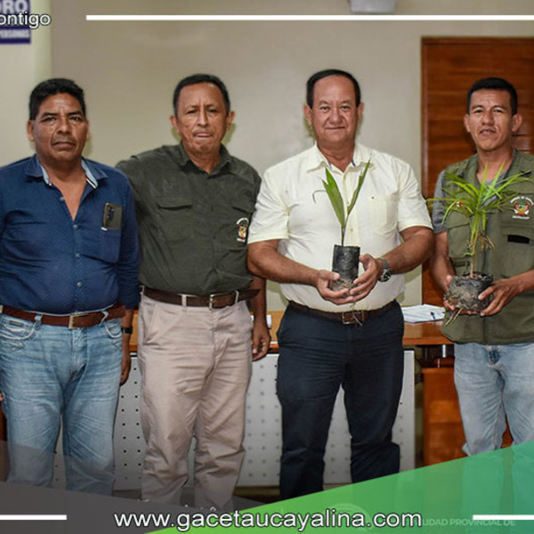 Alcalde de Atalaya y Organizaciones Presentan Proyecto de Aprovechamiento Forestal