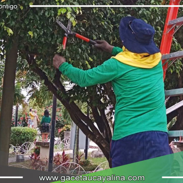 MPCP realizó trabajos de construcción de drenajes pluviales en el Jr. Ucayali colindante con malecón Grau 