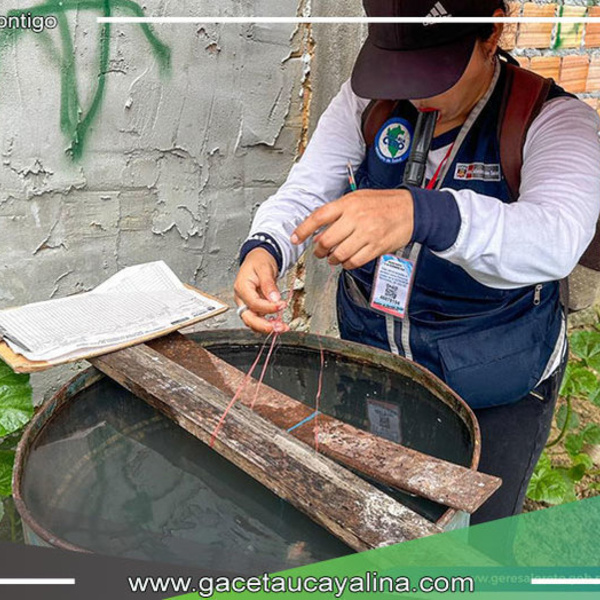 Geresa Loreto inspecciona 800 viviendas en lucha contra el dengue