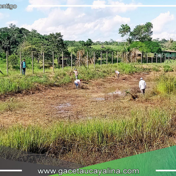 Recuperación de piscigranja abandonada por la municipalidad distrital de Tahuanía en marcha