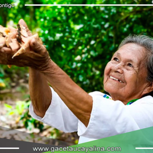 Nelly Yahuarcani, la guardiana de los secretos medicinales de la Amazonía a sus 75 años