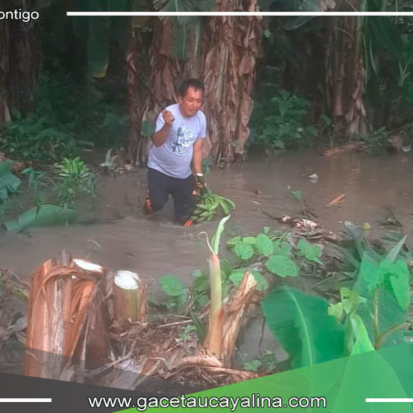 Inundaciones Amenazan Cultivos y Viviendas en Tahuanía