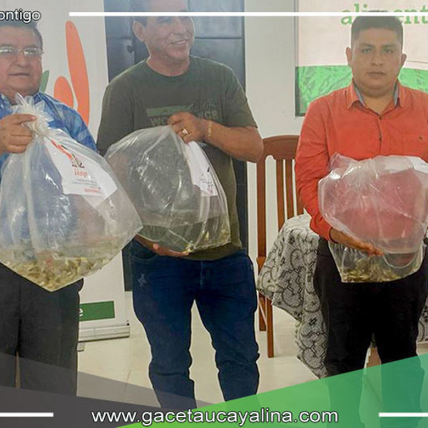Alcalde John Salcedo Ríos Impulsa la Acuicultura Sostenible en Sepahua