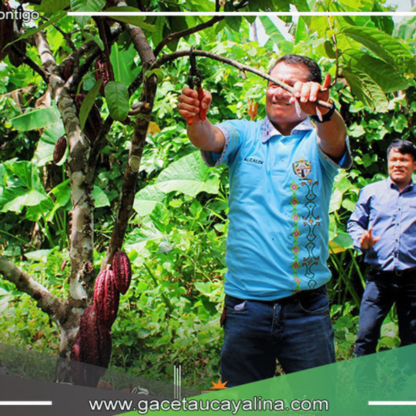Municipalidad de Tahuania fortalece capacidades de productores cacaoteros con importante iniciativa