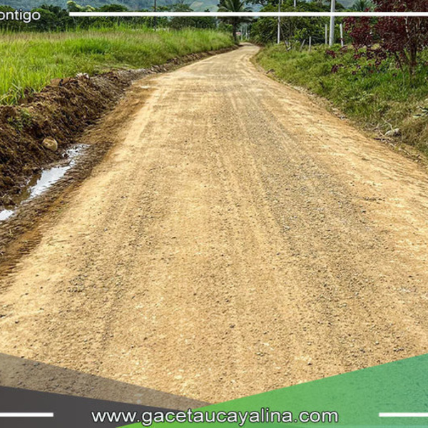 Municipalidad de Satipo garantiza flujo vehicular con mantenimiento de carretera en Timarini Bajo