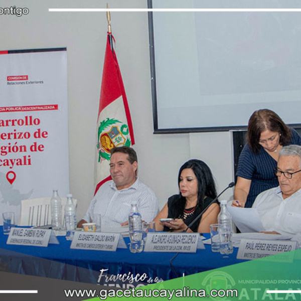 Francisco de Asís Mendoza de Souza lidera participación en Audiencia Pública Descentralizada