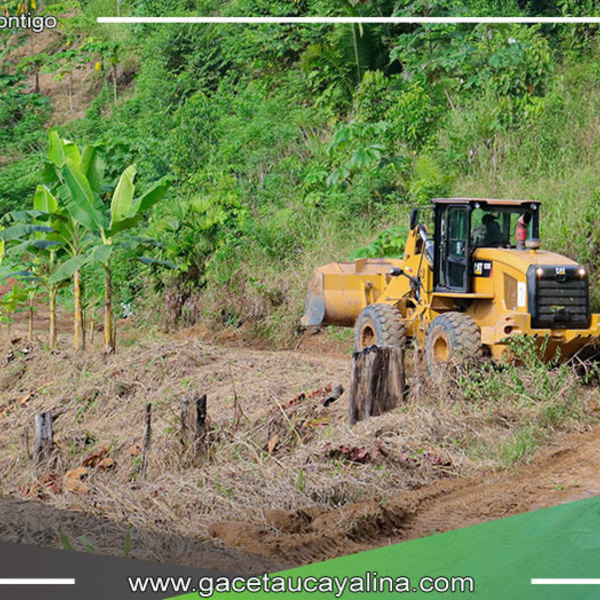 Municipalidad de Irazola Realiza Mantenimiento Vial en Sector Shansho