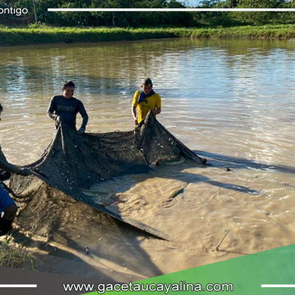 Sanipes impulsa medidas de bioseguridad para acuicultores en la región Huánuco
