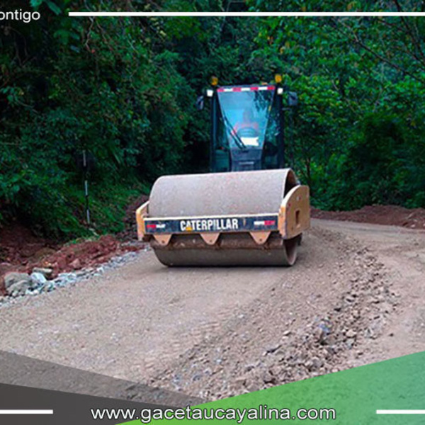 Mejoramiento vial en Junín, Pasco, Huánuco y Ucayali: Provías Nacional anuncia inversión millonaria