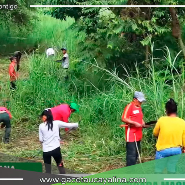 Municipalidad Provincial de Ucayali emprende labores de limpieza y desbroce en la quebrada Maquia