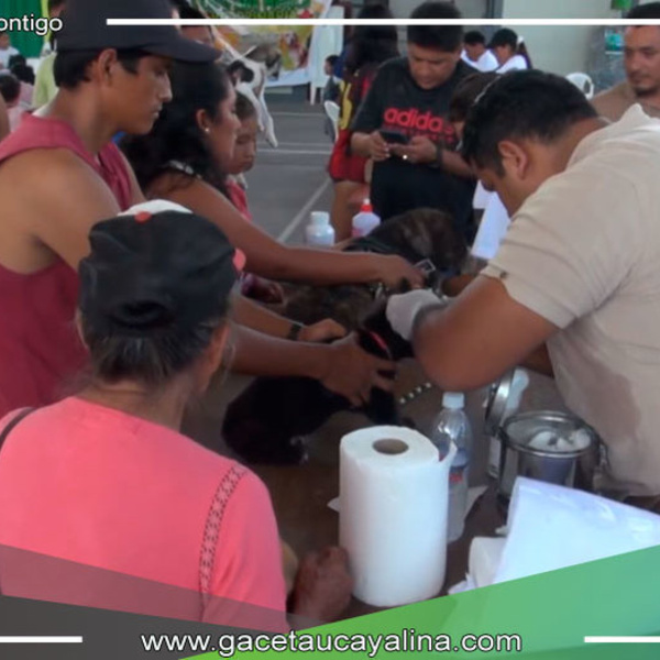 Exitosa Campaña de Desparasitación en Padre Abad Promueve la Tenencia Responsable