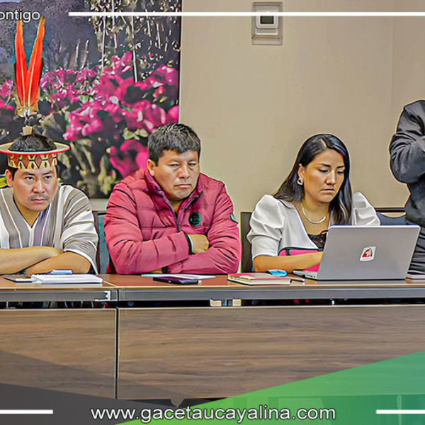Sepahua Exige Mejor Suministro Eléctrico en Reunión con Empresas y Estado