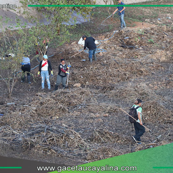  Se recolecta 150 t de residuos de las orillas de la laguna de yarinacocha con participación de servidores de la MDY