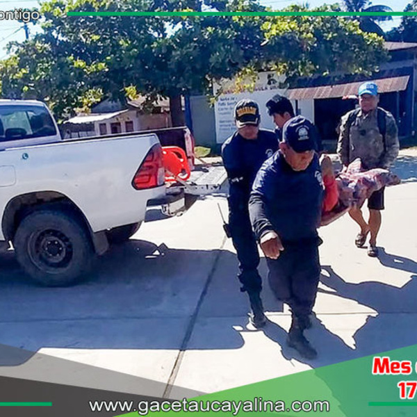 Serenazgo de Sepahua Brinda Auxilio Inmediato a Morador de Bufeo Pozo Tras Accidente