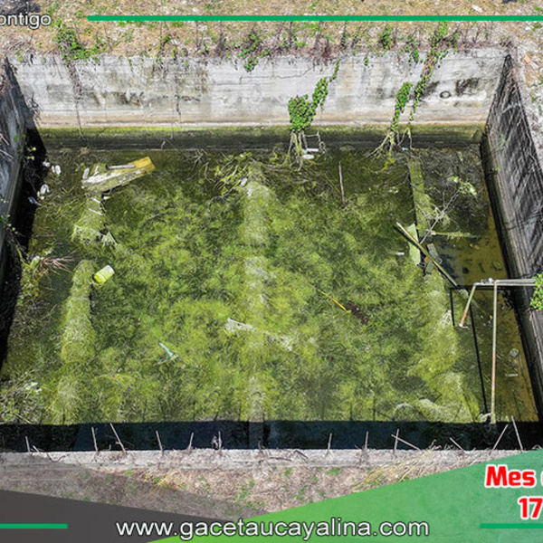 Operativo de Rentas y Fiscalización Elimina Foco Infeccioso en Establecimiento en Sepahua