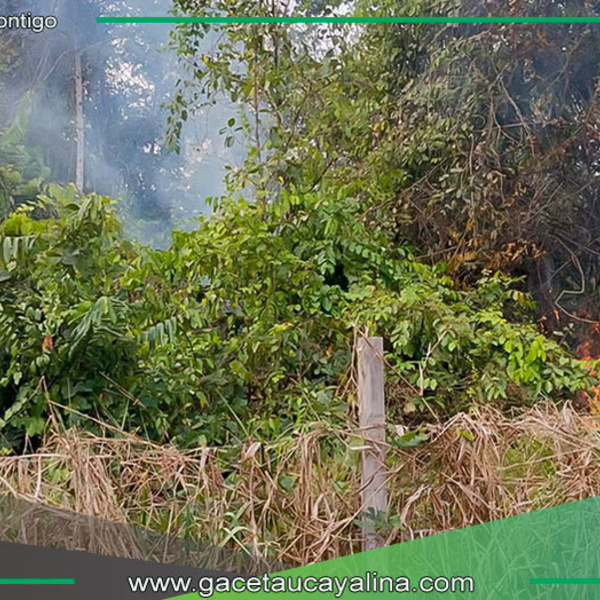 Alcalde de Sepahua promueve medidas contra incendios en la Amazonía
