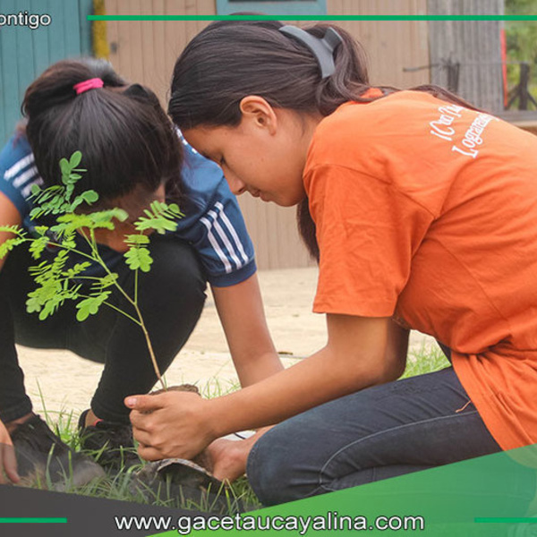 Municipalidad de Atalaya organiza evento de reforestación y concientización