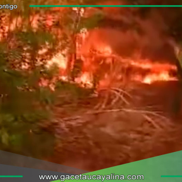60 familias pierden todo en incendio forestal en Santa Anita distrito de Nueva Requena