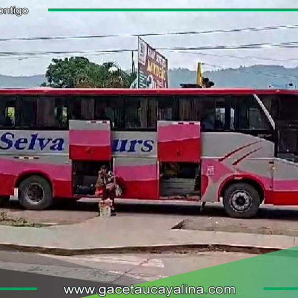Delincuentes asaltan bus interprovincial en Junín sin heridos