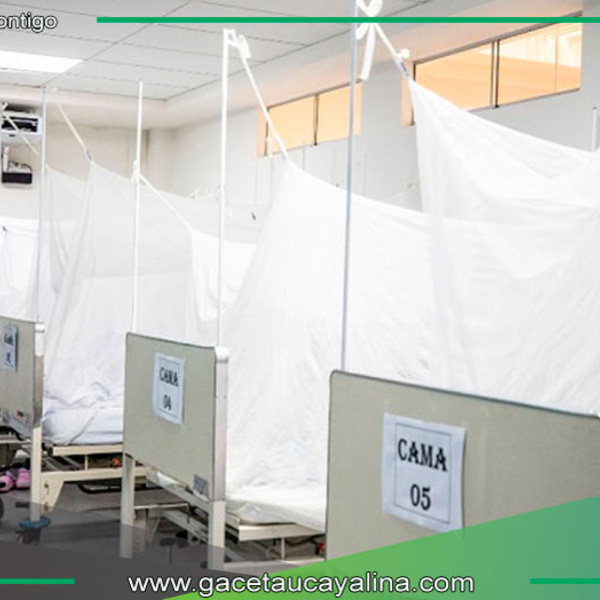 EsSalud instala camas especiales y produce repelentes naturales