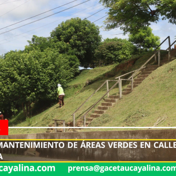 Intensifican mantenimiento de áreas verdes en calle Jerusalén de Contamana