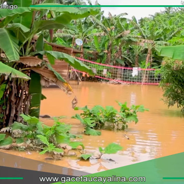 Sede Agraria Sepahua invita a reportar daños por inundaciones