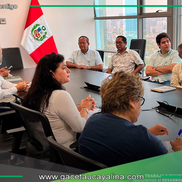 Alcalde de Atalaya propone defensas con bambú