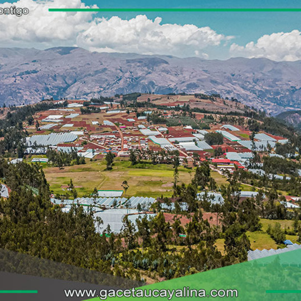 Áncash y Cajamarca inician etapa de formulación de la zonificación forestal