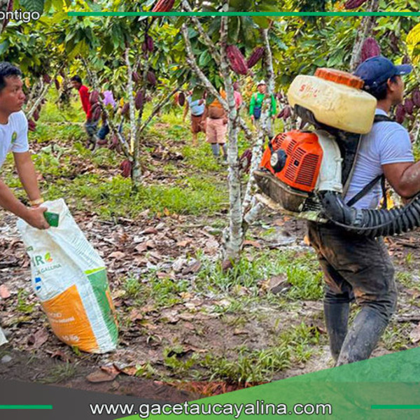 Capacitan en cacao a productores del caserío Valle Hermosa