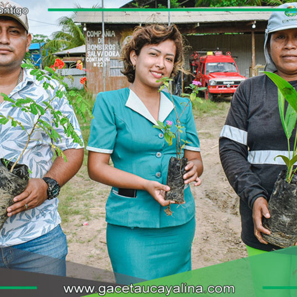 Municipalidad entrega plantas ornamentales a escuelas y universidad local