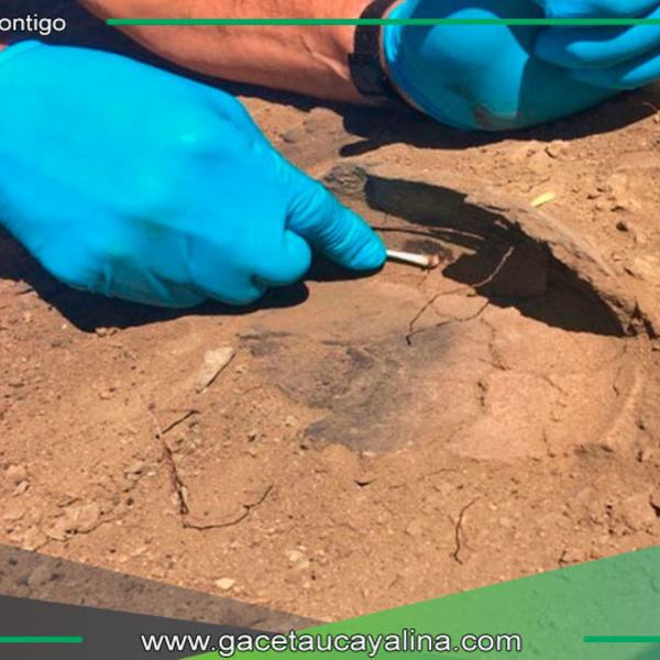 Arqueólogos hallan evidencia de cacao milenario en Amazonas peruano