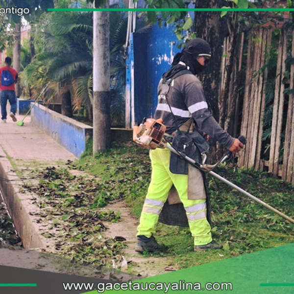Municipalidad de Ucayali - Contamana mejora áreas verdes en vías principales