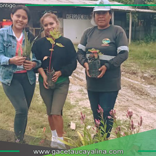 Municipalidad entrega plantas a colegios rurales de Pampa Hermosa