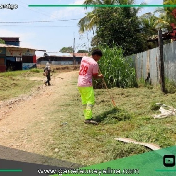 Municipalidad de Ucayali mantiene áreas verdes en barrio Los Jardines