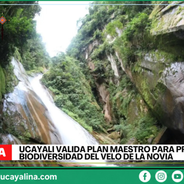 Ucayali valida plan maestro para proteger biodiversidad del ACR Velo de la Novia