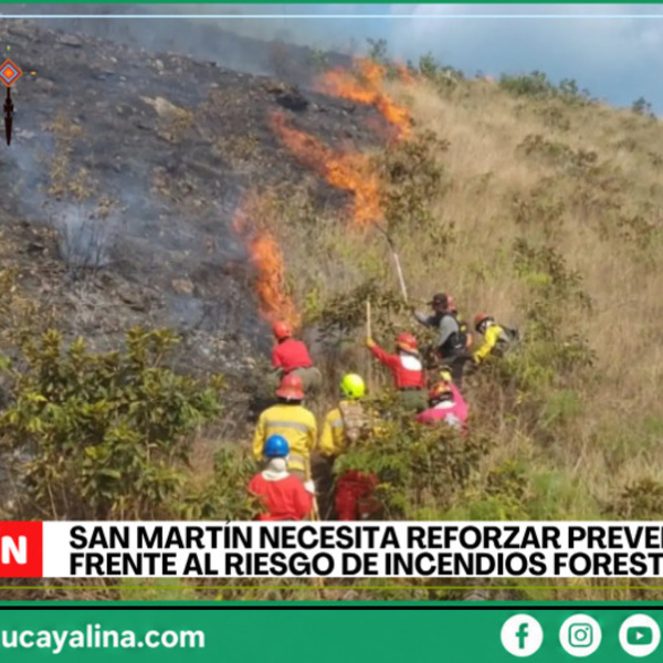 San Martín enfrenta alto riesgo de incendios forestales, advierten autoridades