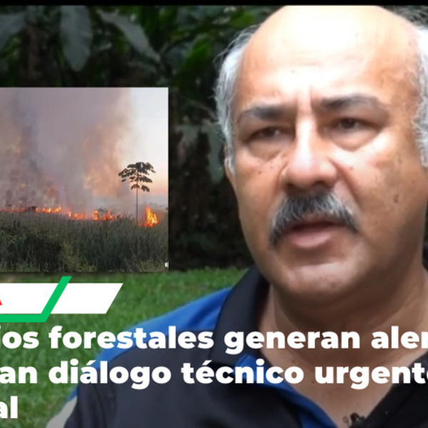 Expertos analizan incendios forestales que afectan gravemente la Amazonía peruana