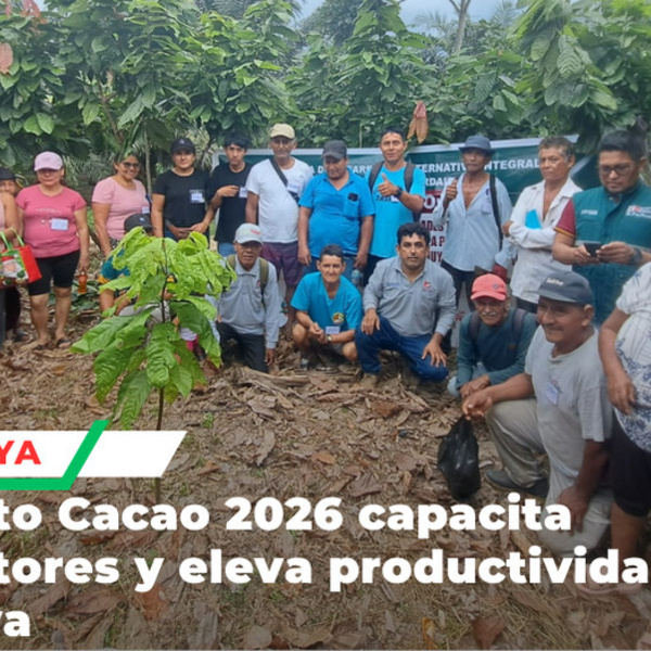 Escuelas de campo fortalecen producción cacaotera de familias en Neshuya