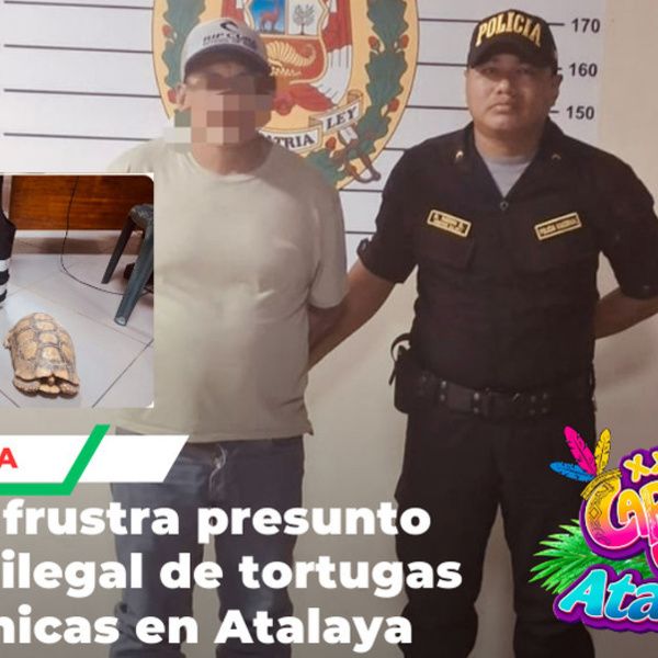 PNP detiene sujeto por tráfico ilegal de tortugas en Atalaya