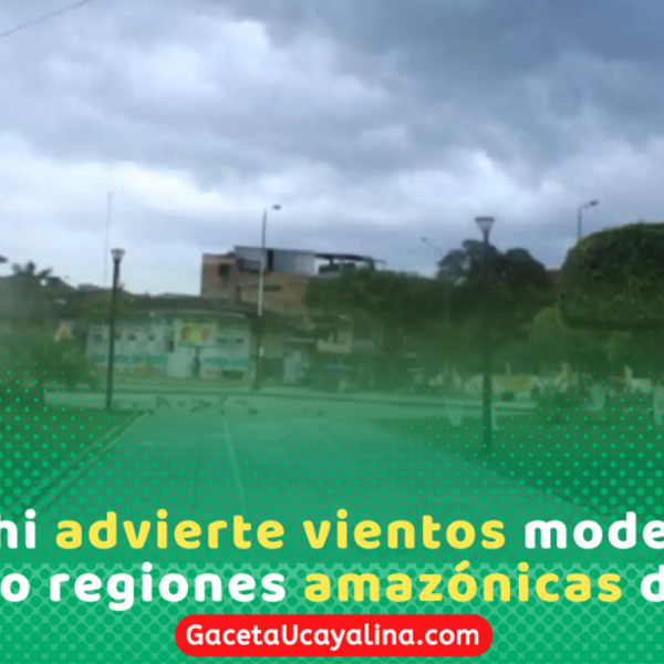 Senamhi alerta vientos fuertes en cinco regiones de la selva
