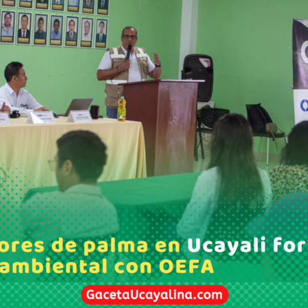 OEFA realiza taller de promoción de cumplimiento ambiental con productores de palma aceitera