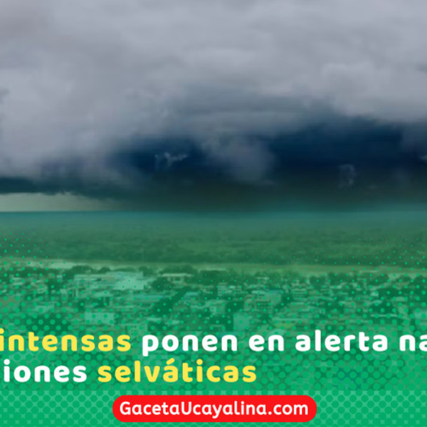 Senamhi activa alerta naranja por lluvias intensas en regiones de la selva