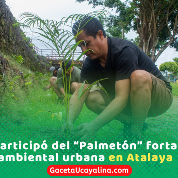 Atalaya impulsa arborización con segunda jornada del “Palmetón”