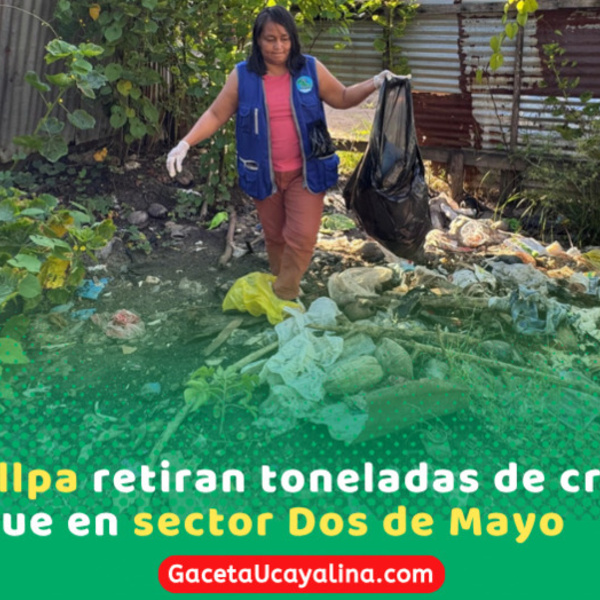 Retiran 9 toneladas de criaderos en Sector 2 de Mayo Pucallpa durante operativo