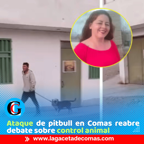 Pitbull ataca a mujer en Comas y la deja con graves heridas