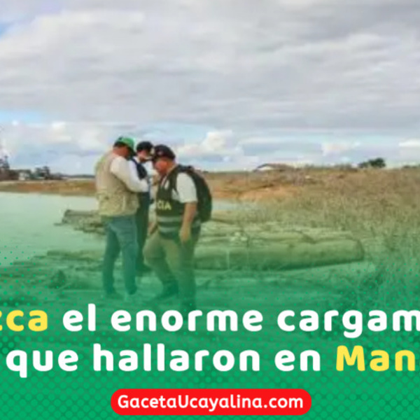 Incautan 40 mil pies de madera ilegal en Manantay